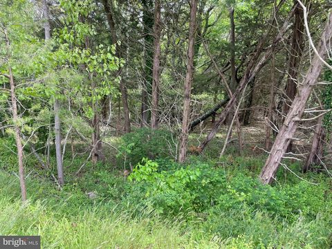 Vacant Land For Sale - Main Street<br/> Ocean County, Little Egg Harbor Township, NJ 08087