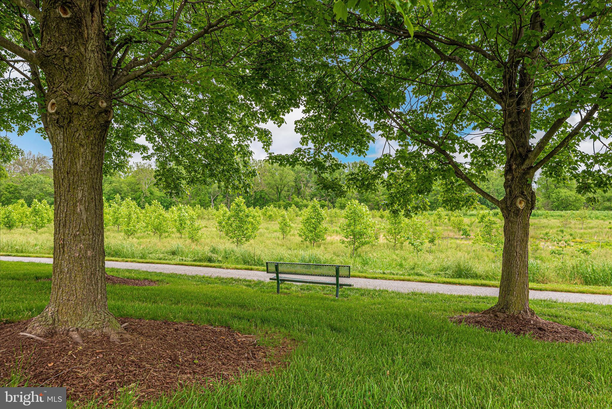 WATERSIDE - Residential