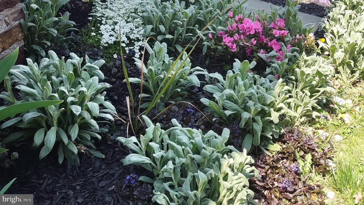 SWEDESBURG - Residential