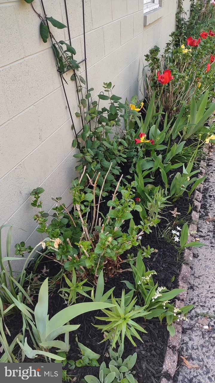 SWEDESBURG - Residential