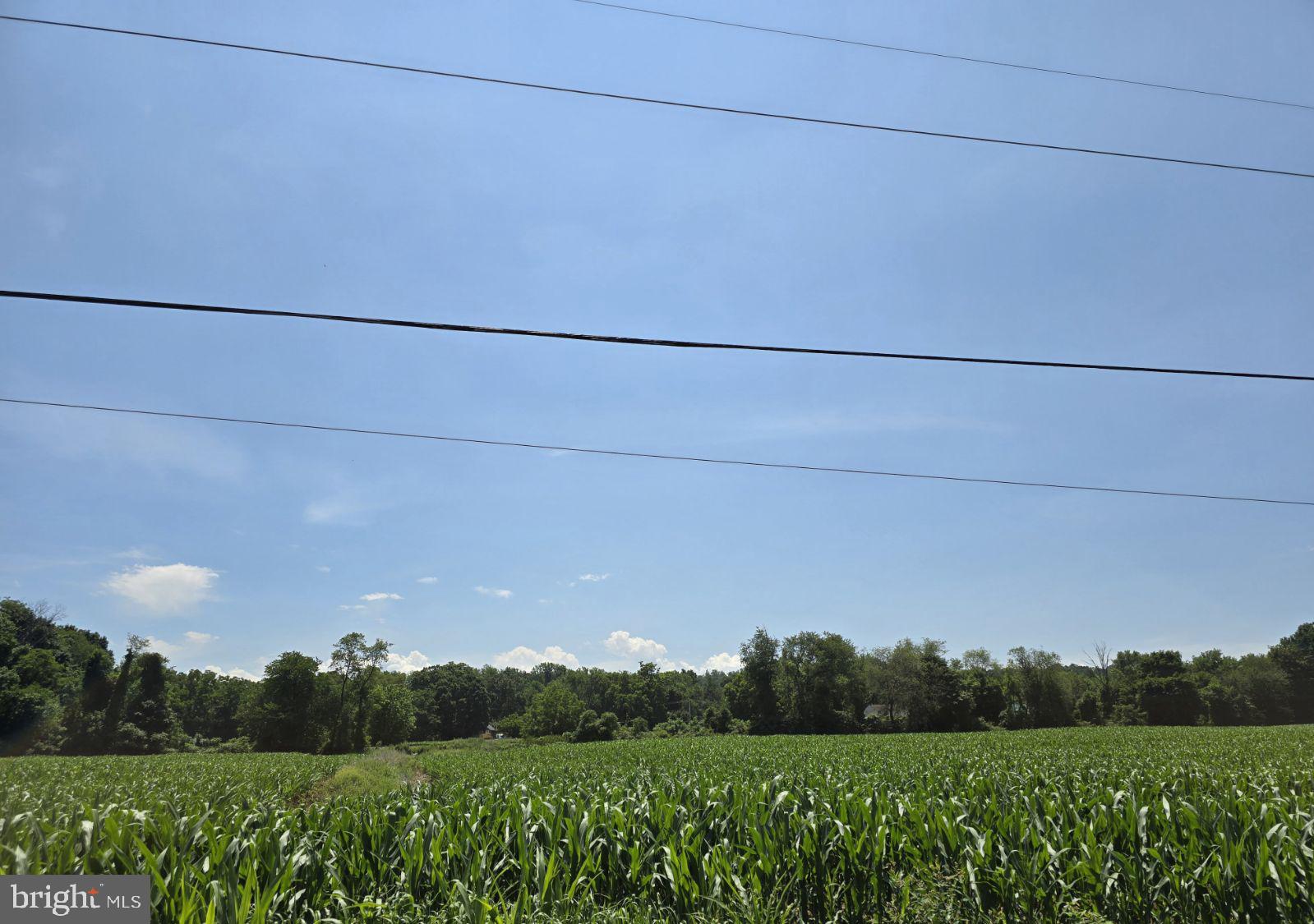 7 + acres zoned Industrial land currently being subdivided from the land across the railroad tracks.
This Industrial zoned land is open and ideal for building and is located on the North side of the railroad tracks along Chestnut street with plenty of road frontage.