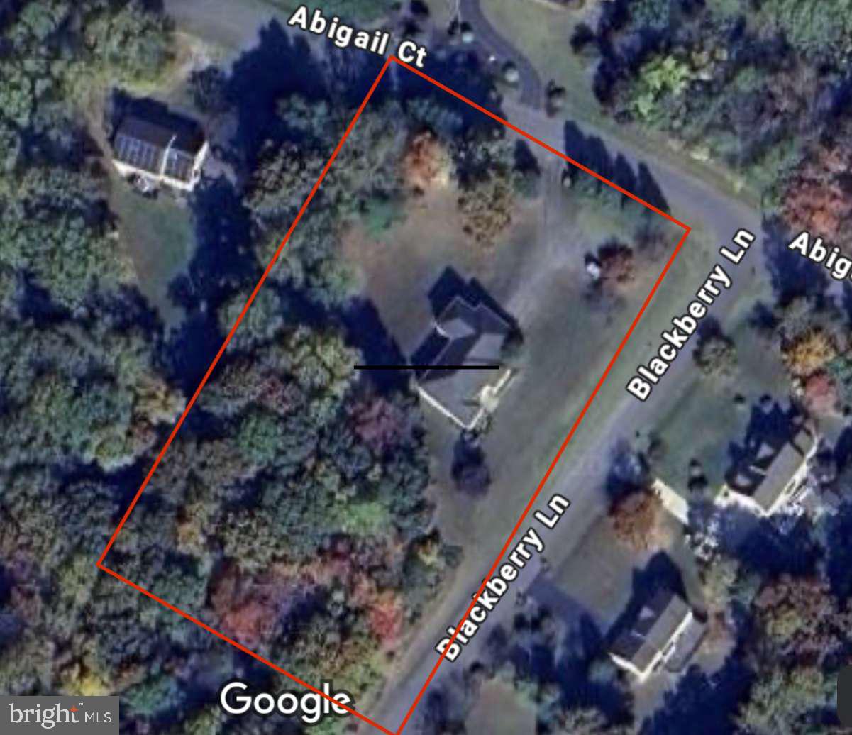 3005 BLACKBERRY LANE