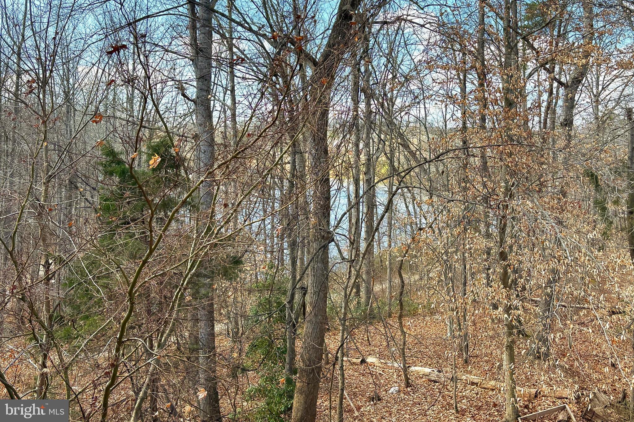 LAKE RIDGE - Residential Lease