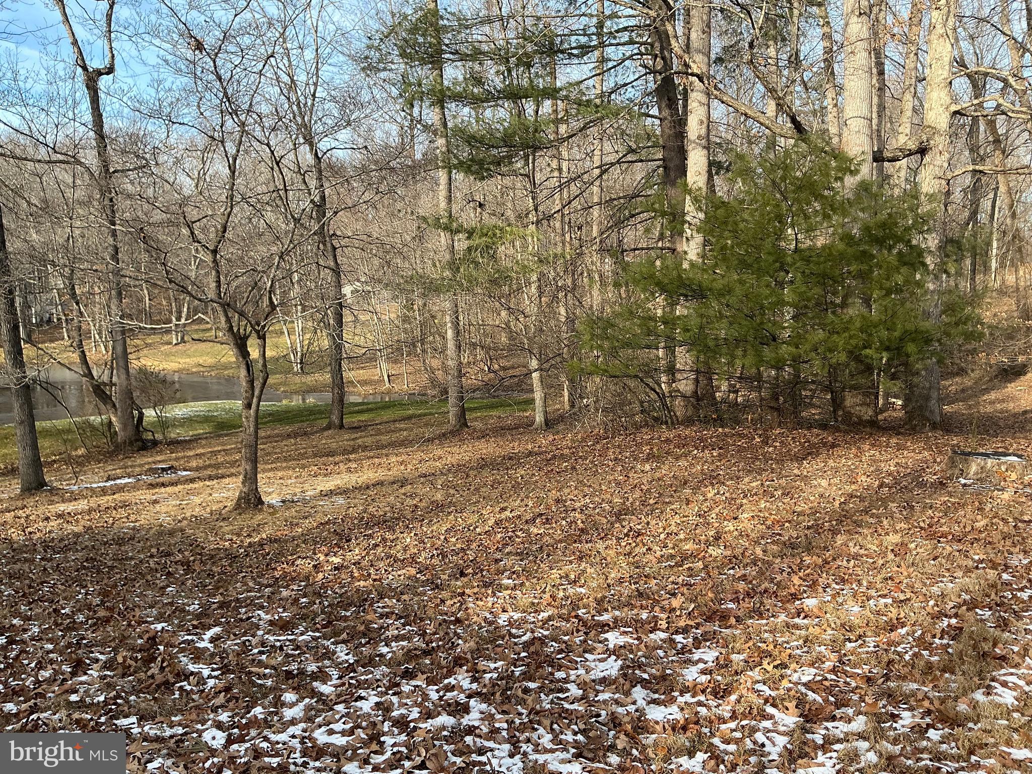 JEFFERSON WOODS - Residential