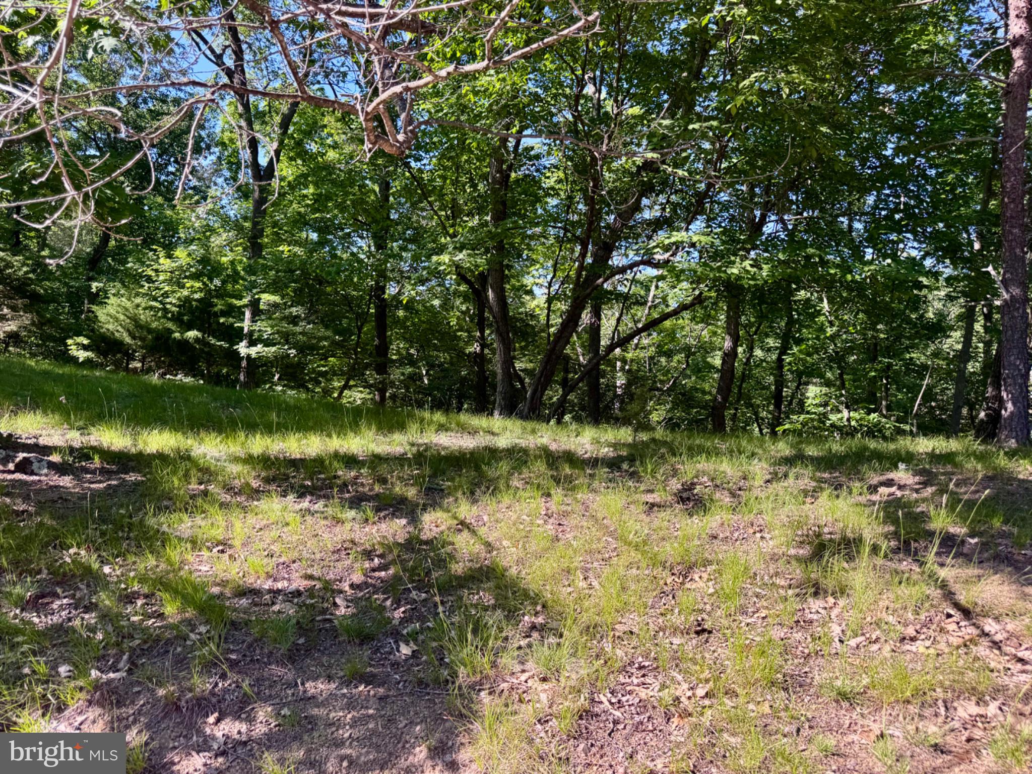 326 TWEED LANE