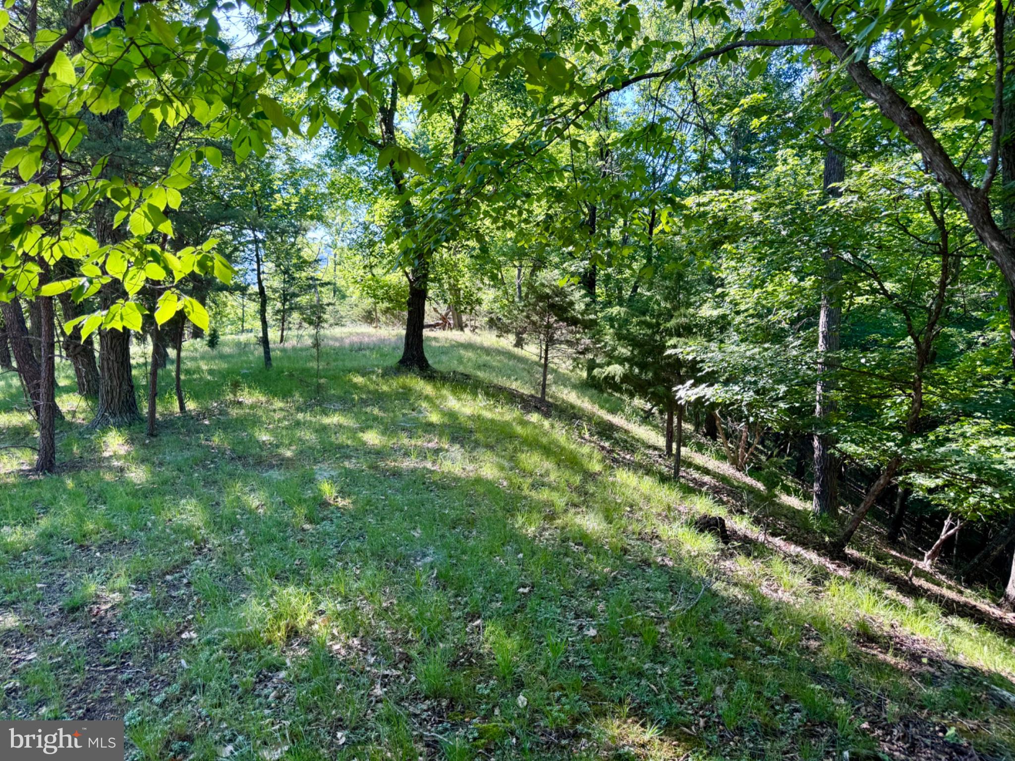 326 TWEED LANE