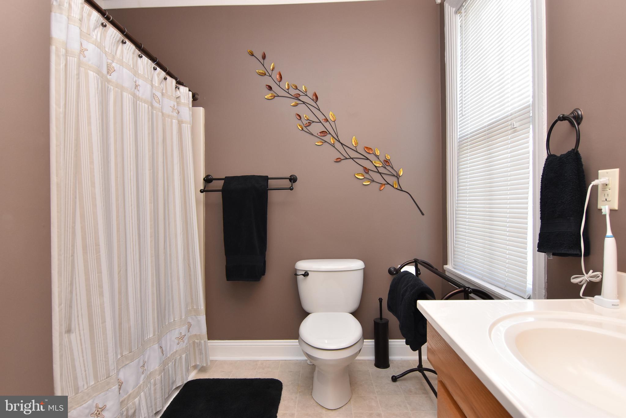 SOUTH REHOBOTH - Residential