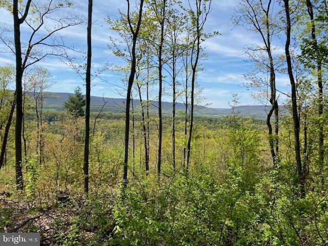 Lot 6 POLECAT HOLLOW ROAD