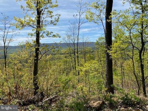 Vacant Land For Sale - LOT 6 Polecat Hollow Road<br/> HOPEWELL, PA 16650