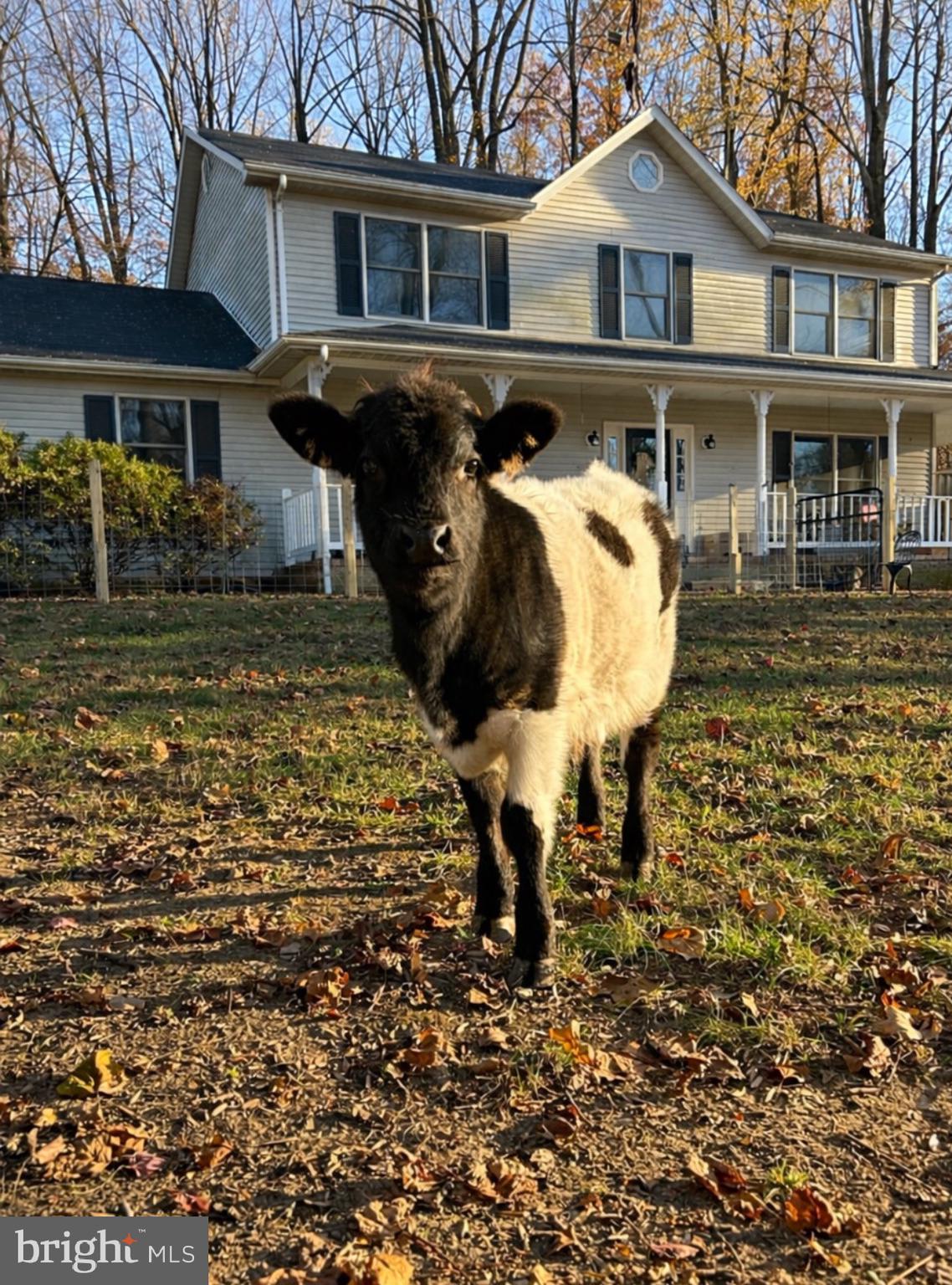 POPLAR RIDGE - Residential