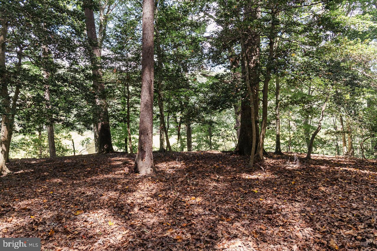 LOT #48 HIGH BANKS DRIVE