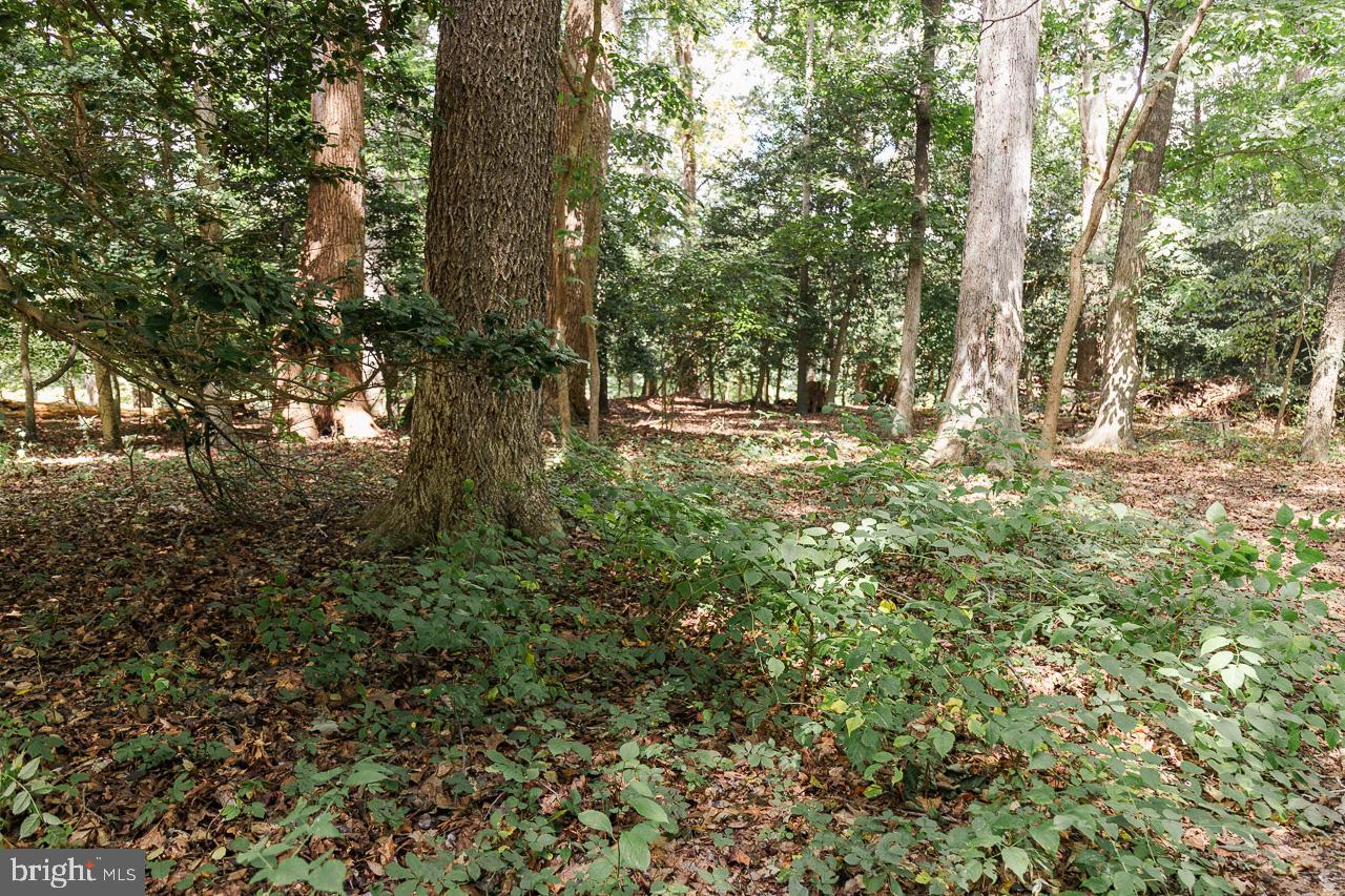 LOT #48 HIGH BANKS DRIVE