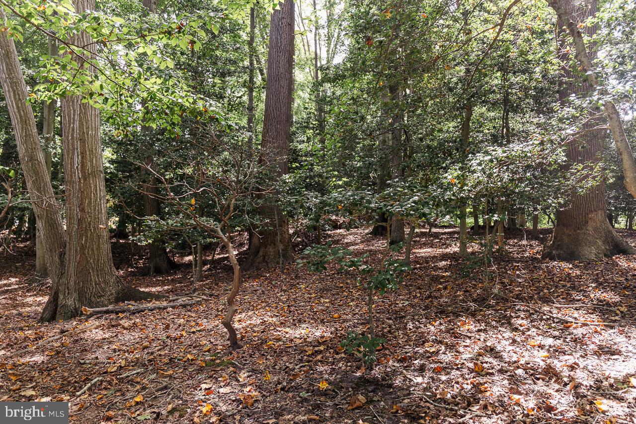 LOT #48 HIGH BANKS DRIVE