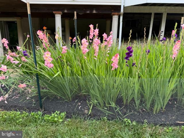 OLDE WASH VALLEY - Residential