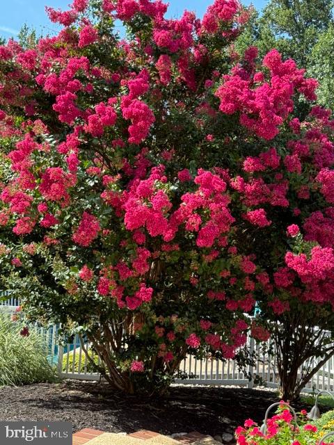 OLDE WASH VALLEY - Residential