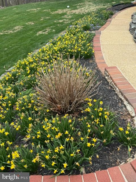 OLDE WASH VALLEY - Residential