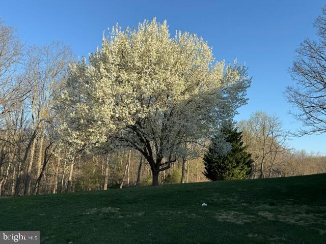 OLDE WASH VALLEY - Residential