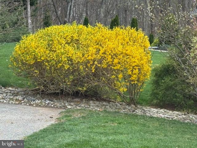 OLDE WASH VALLEY - Residential