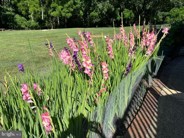 OLDE WASH VALLEY - Residential