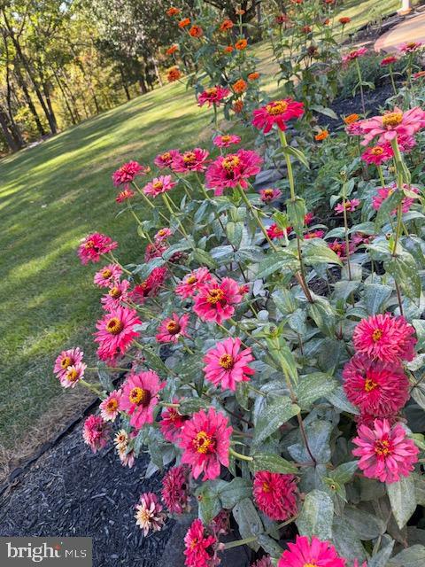 OLDE WASH VALLEY - Residential