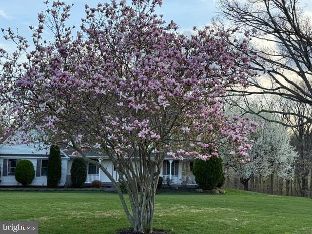 OLDE WASH VALLEY - Residential