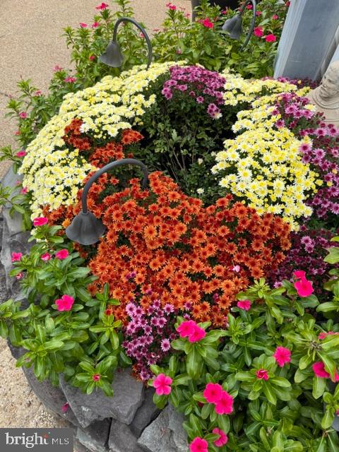 OLDE WASH VALLEY - Residential