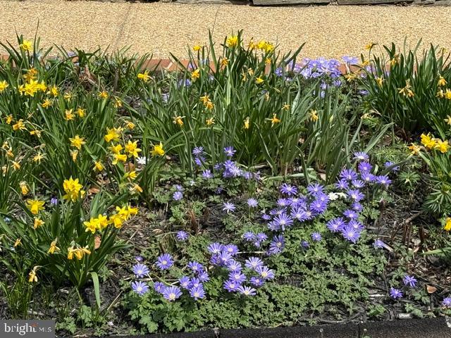 OLDE WASH VALLEY - Residential