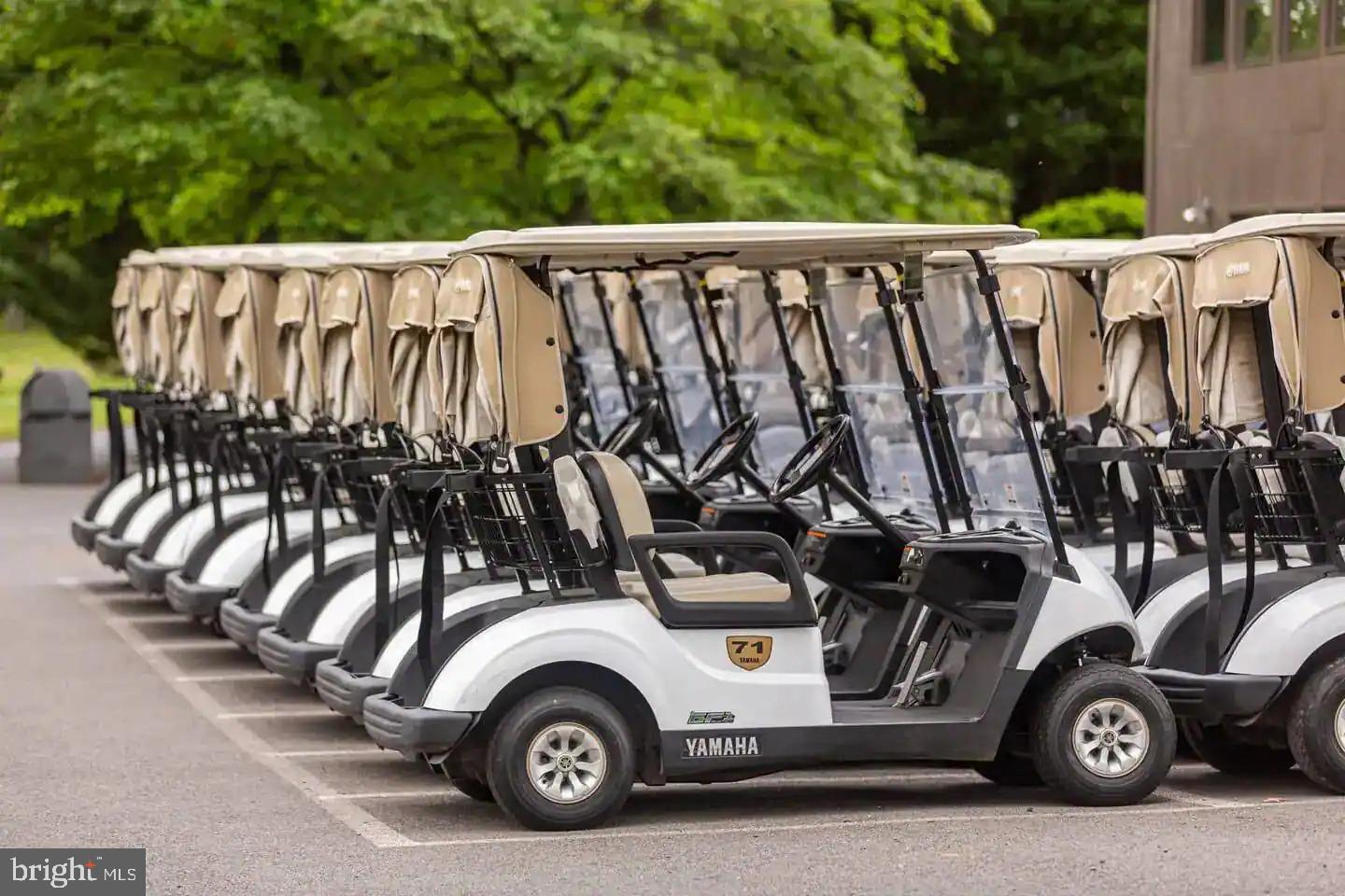 THE WOODS - Residential