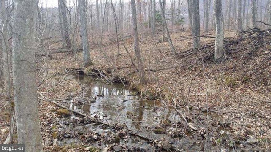 Wooded, rural site of 1.85 acres with stream flowing & mountain backdrop. Country development, great for home or cabin of buyer's choice. No exclusive builder. Please call for your personal tour today!,No Singlewides