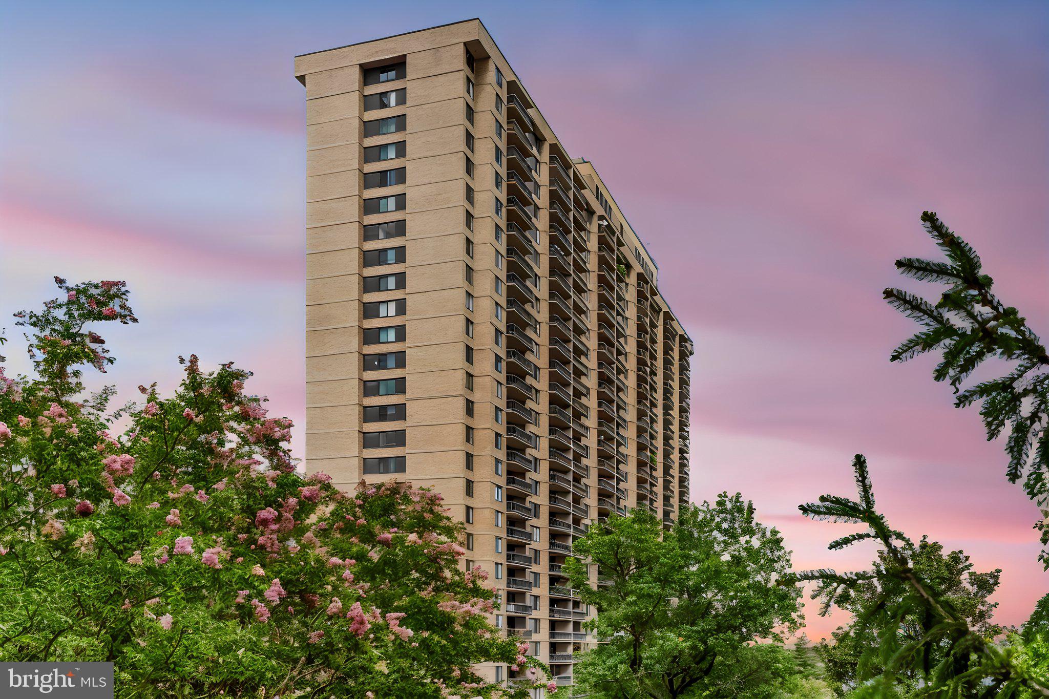 3701 S GEORGE MASON DRIVE 2605N