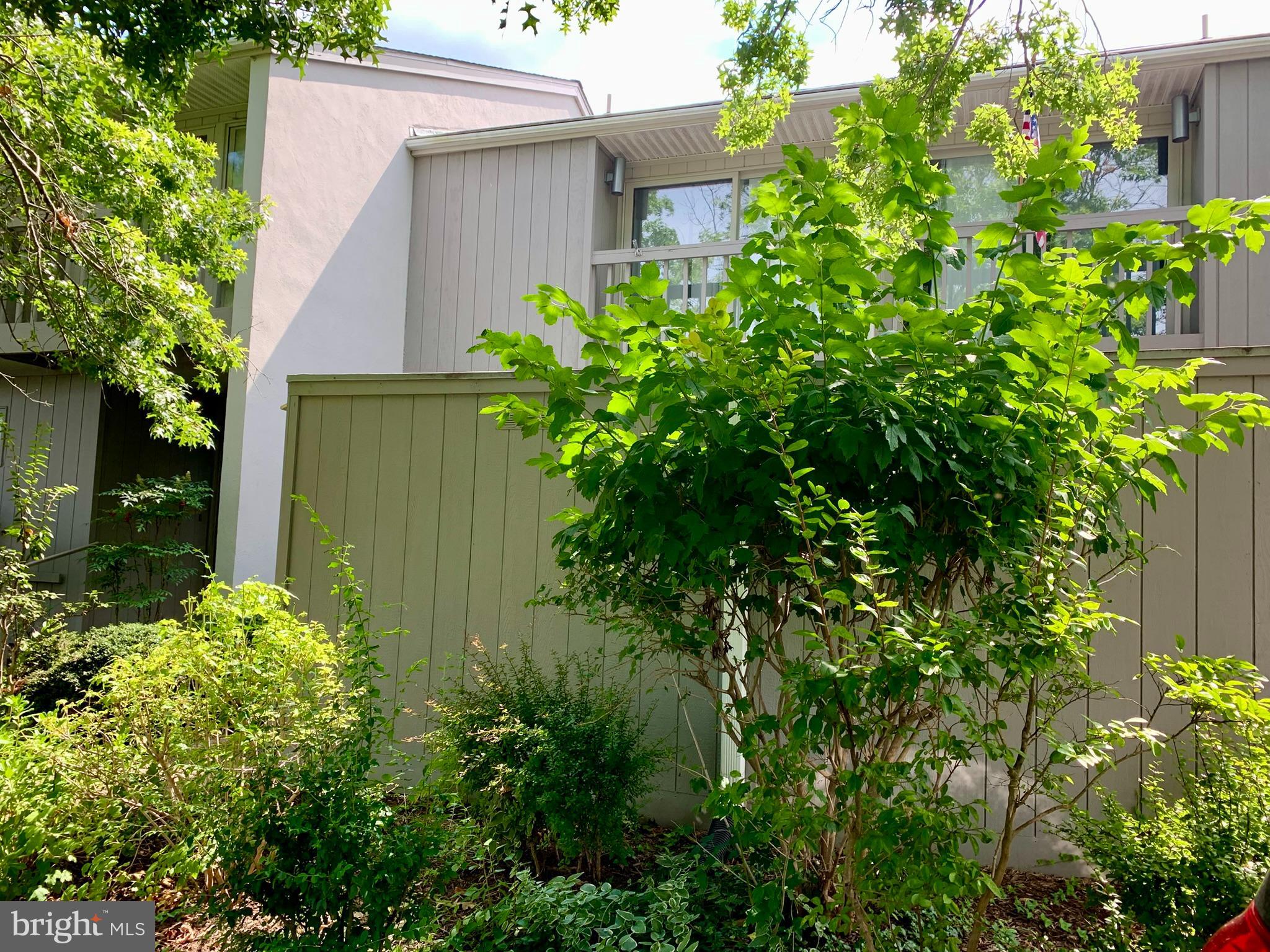 20714 SPRING LAKE DRIVE 106