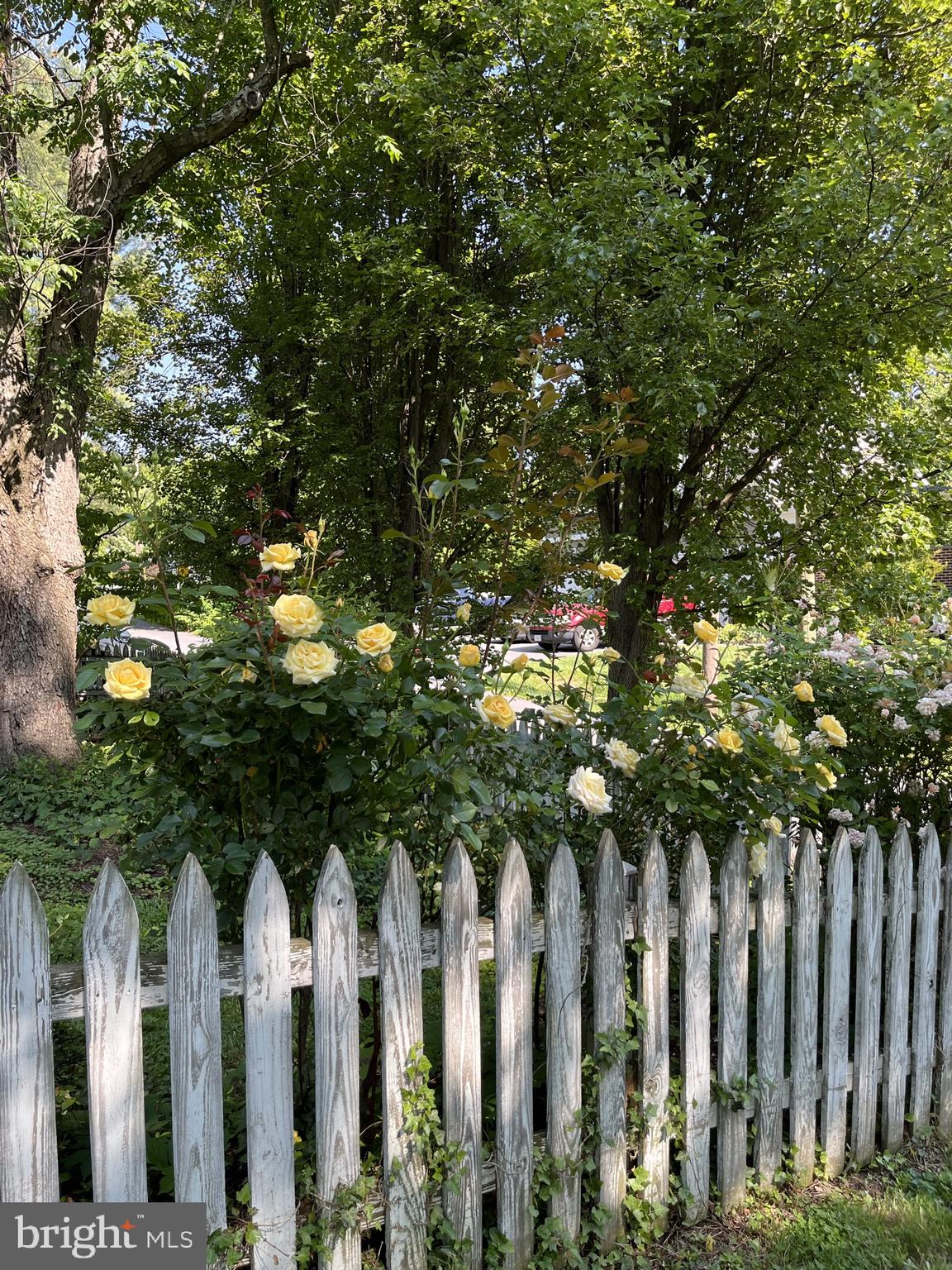 TOWN OF PURCELLVILLE - Residential