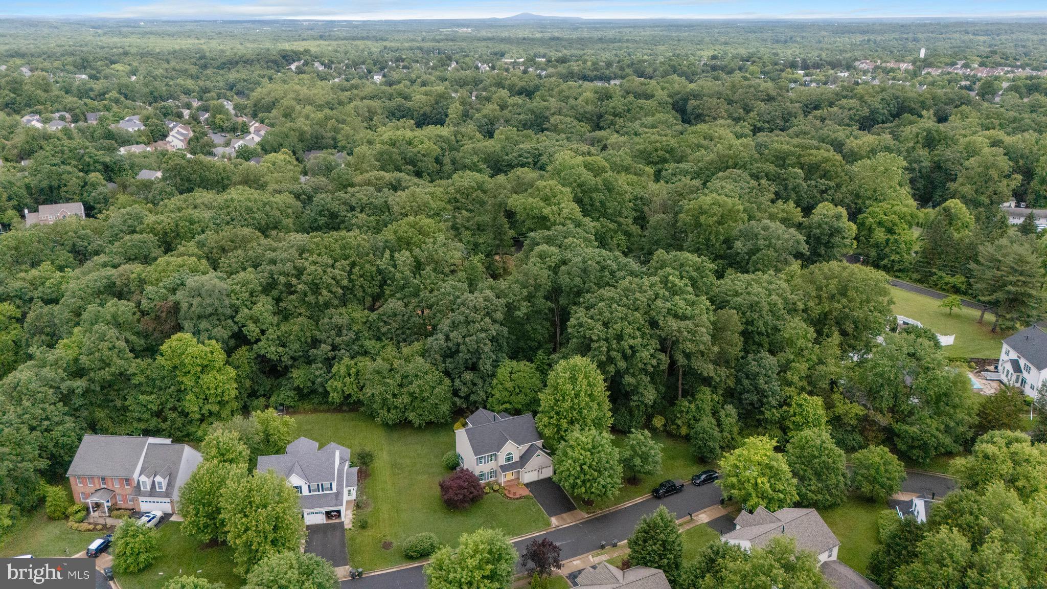 46494 PRIMULA COURT