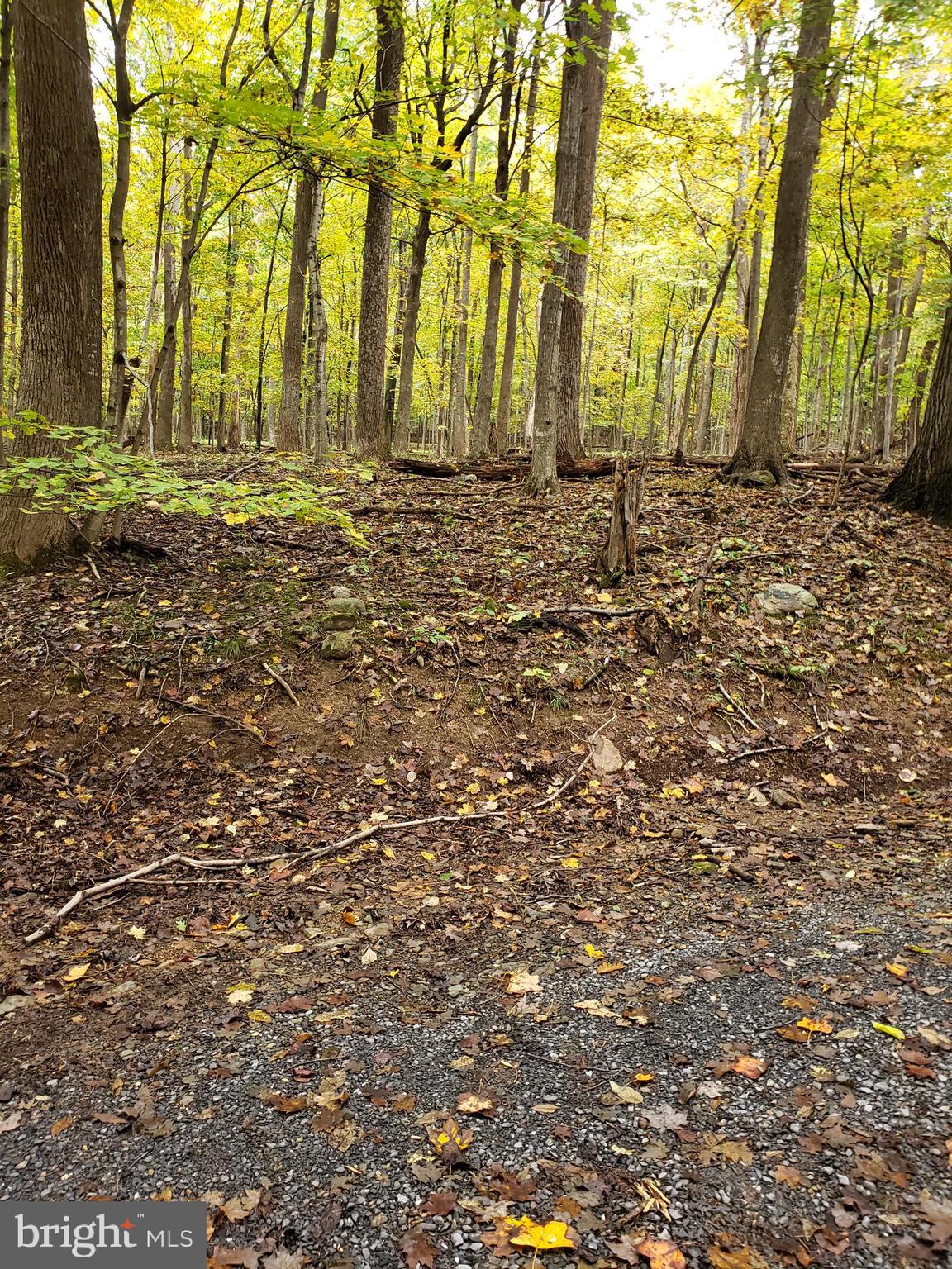 ROCK GAP WOODS - Land