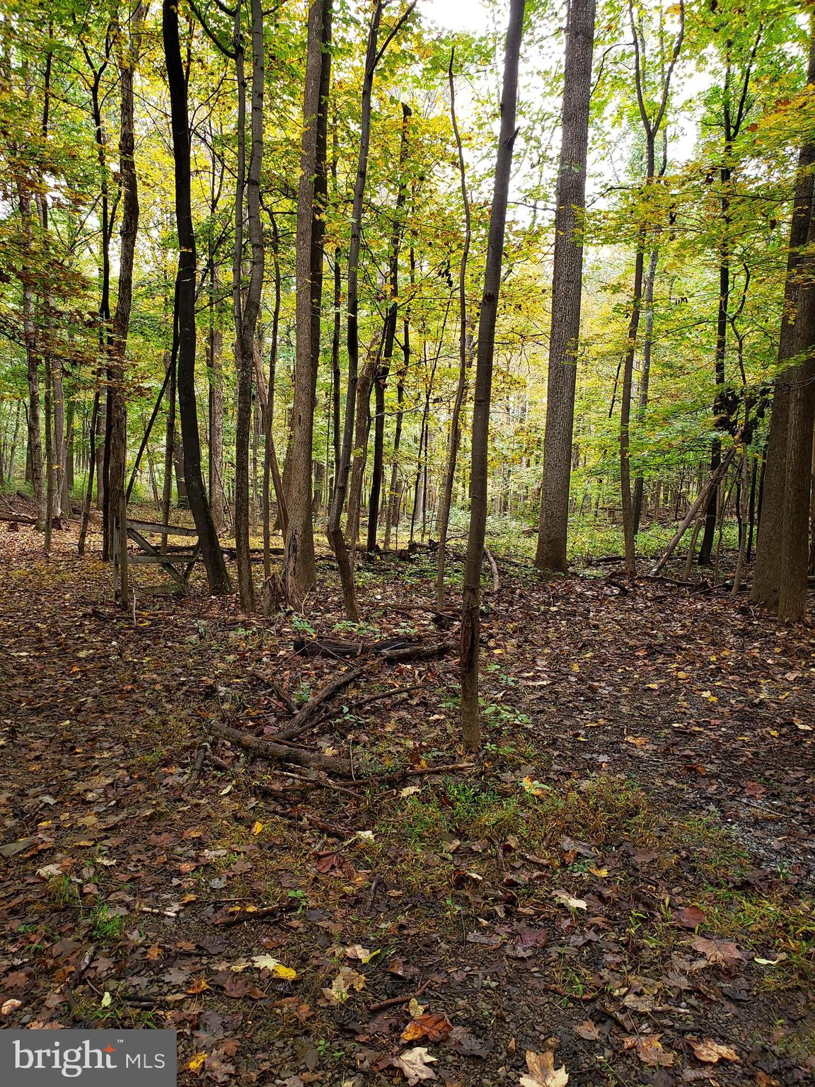 ROCK GAP WOODS - Land