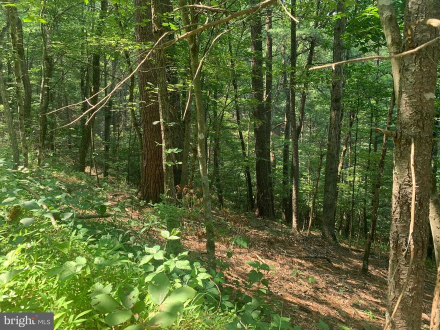 Come be one of the first to build on Chestnut Ridge Rd near Bryce Resort!   Very peaceful stretch of road leads up to this 0.43 Acre lot.