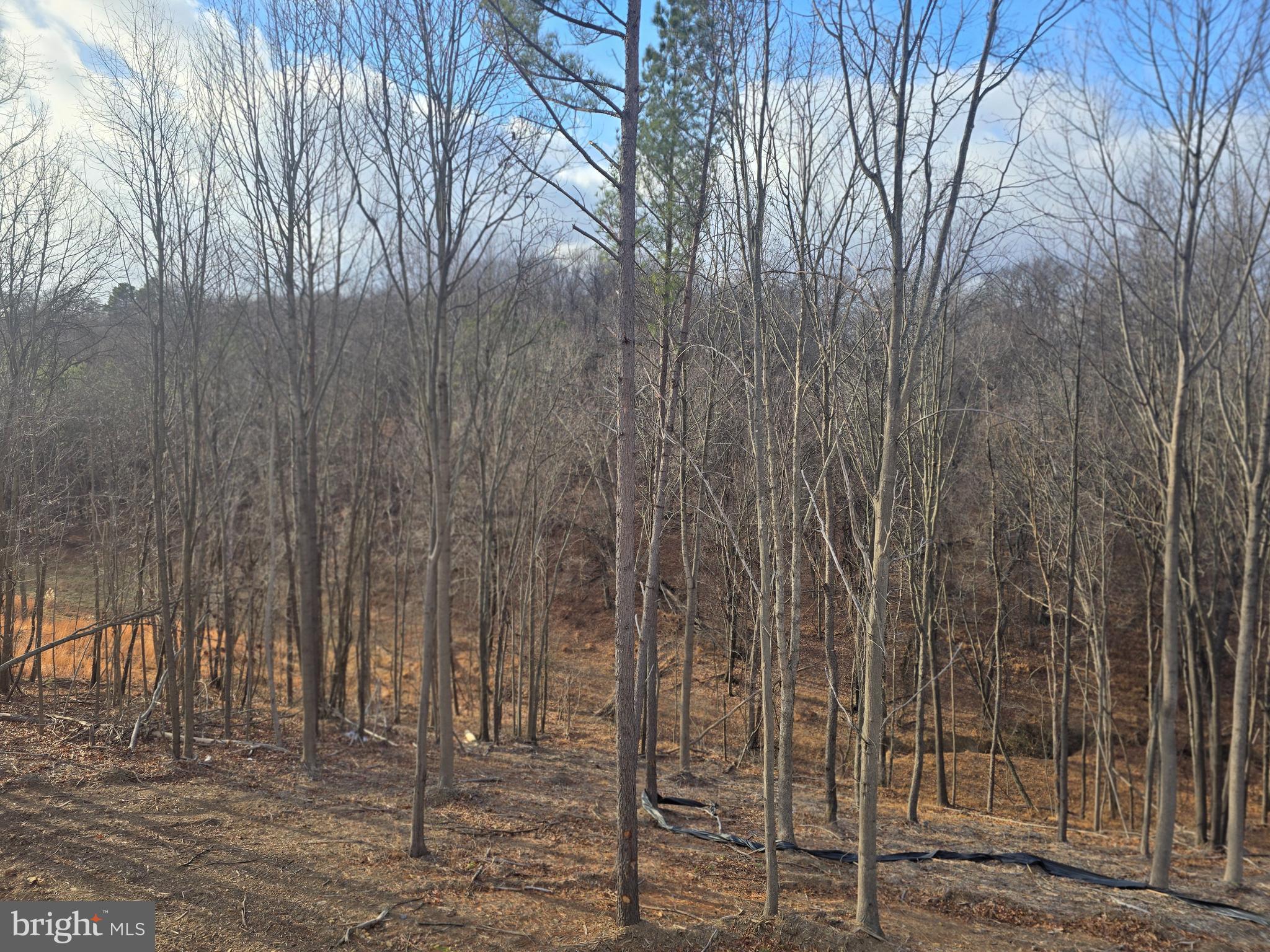 ROUND TOP ESTATES - Residential