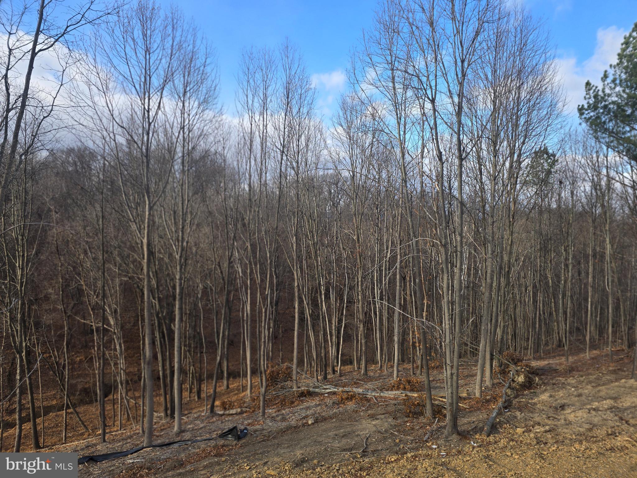 ROUND TOP ESTATES - Residential