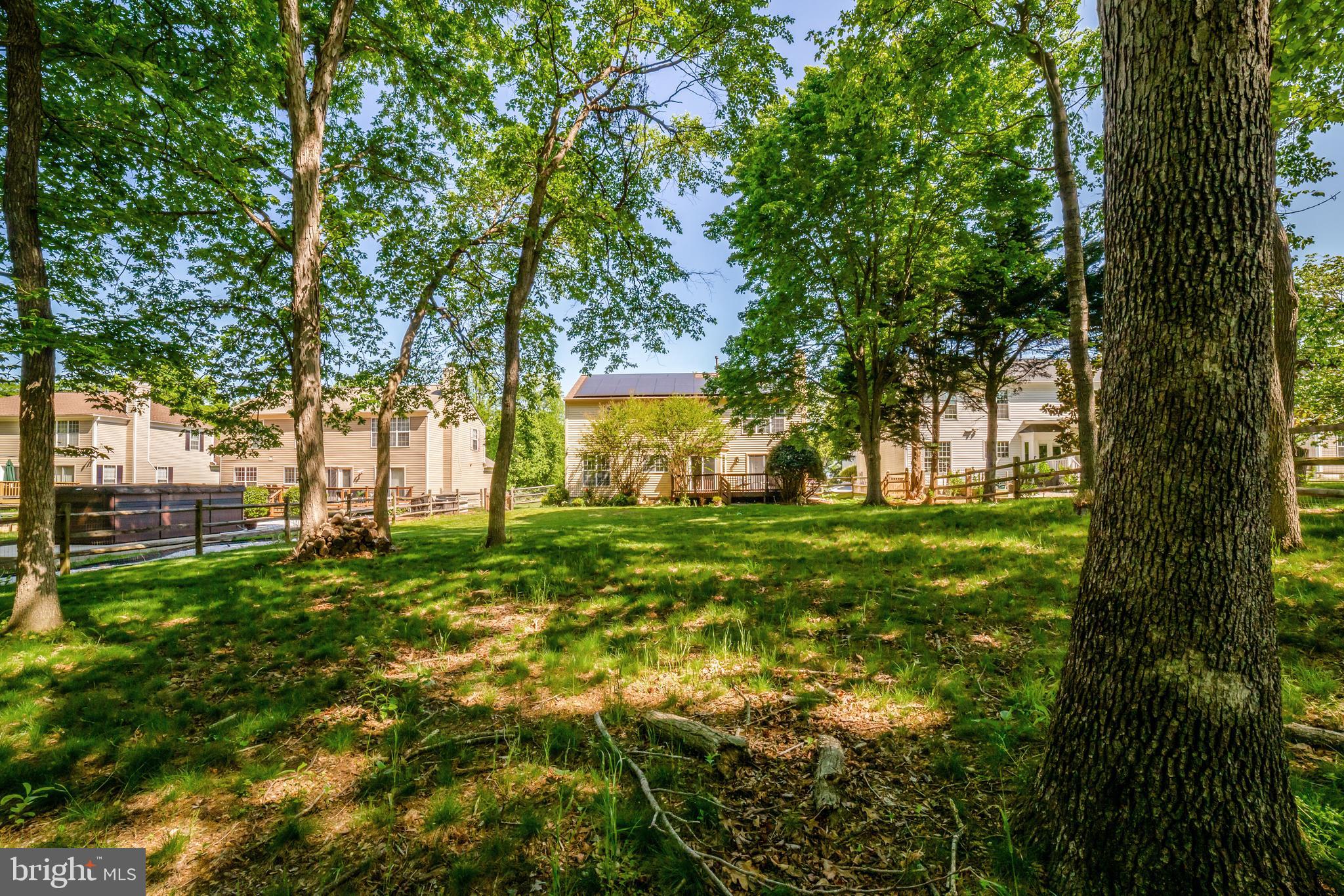 WHITE HALL FOREST - Residential