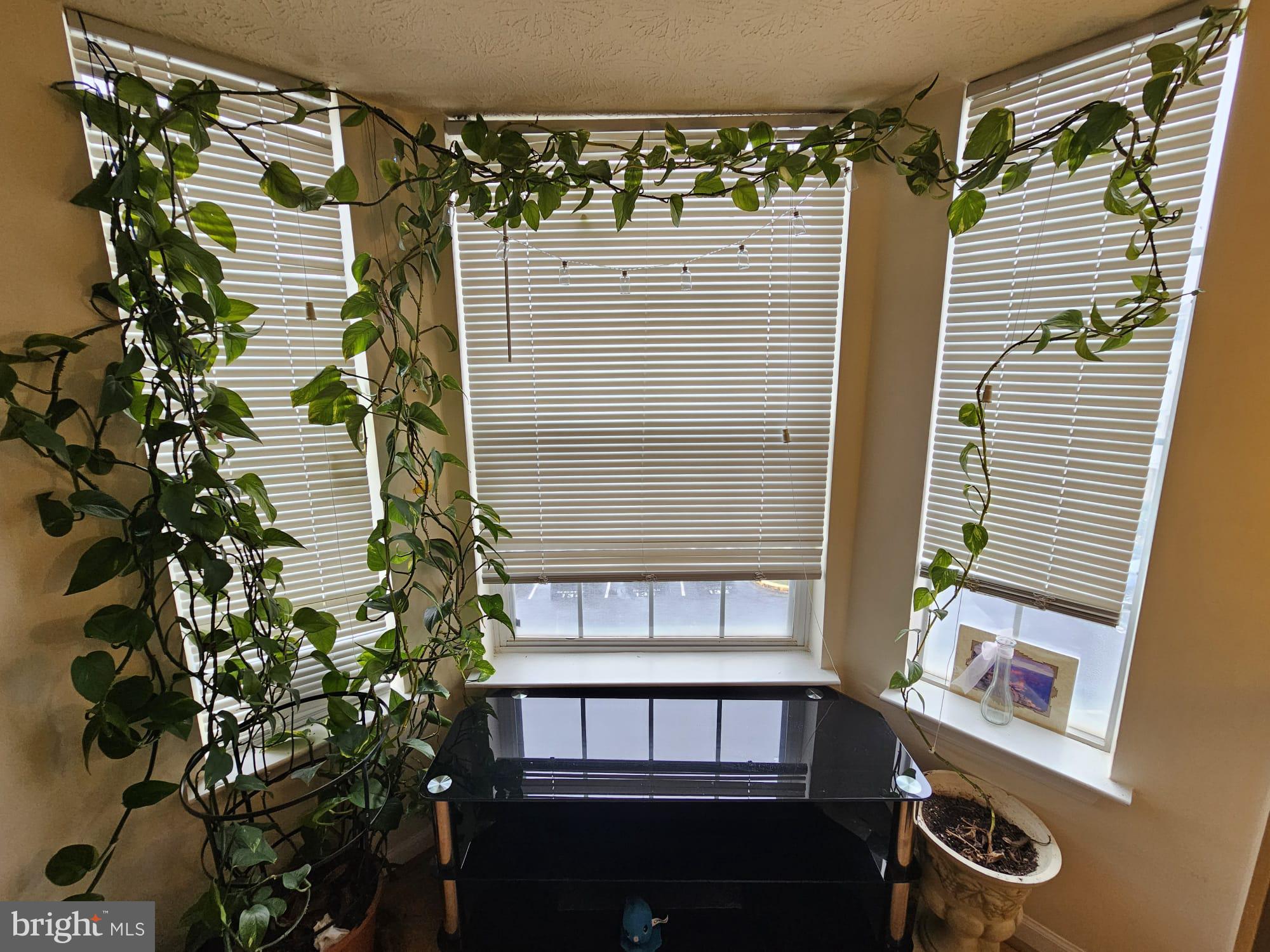 LARGO TOWN CENTER CONDOMINIUMS - Residential Lease