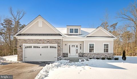 313 COLUMBIA LANE STEVENSVILLE MD 21666