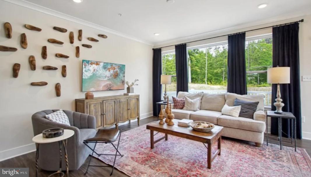 10041 SHENANDOAH LANE