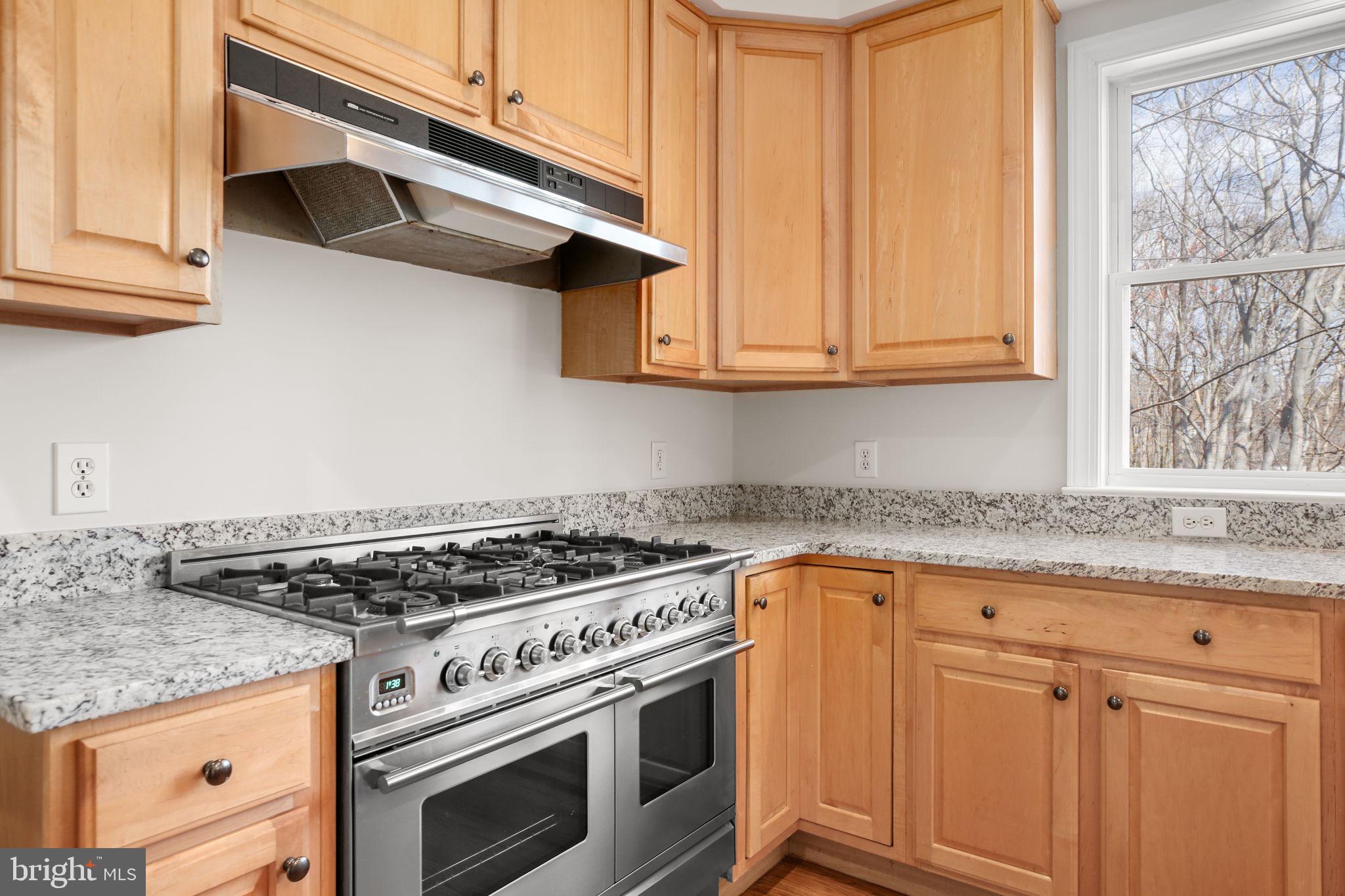 HILLS AT SNOWDEN - Residential