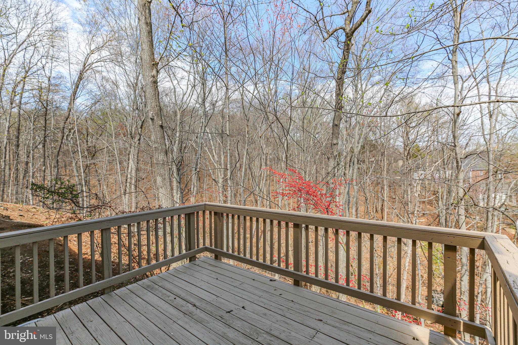 HILLS AT SNOWDEN - Residential