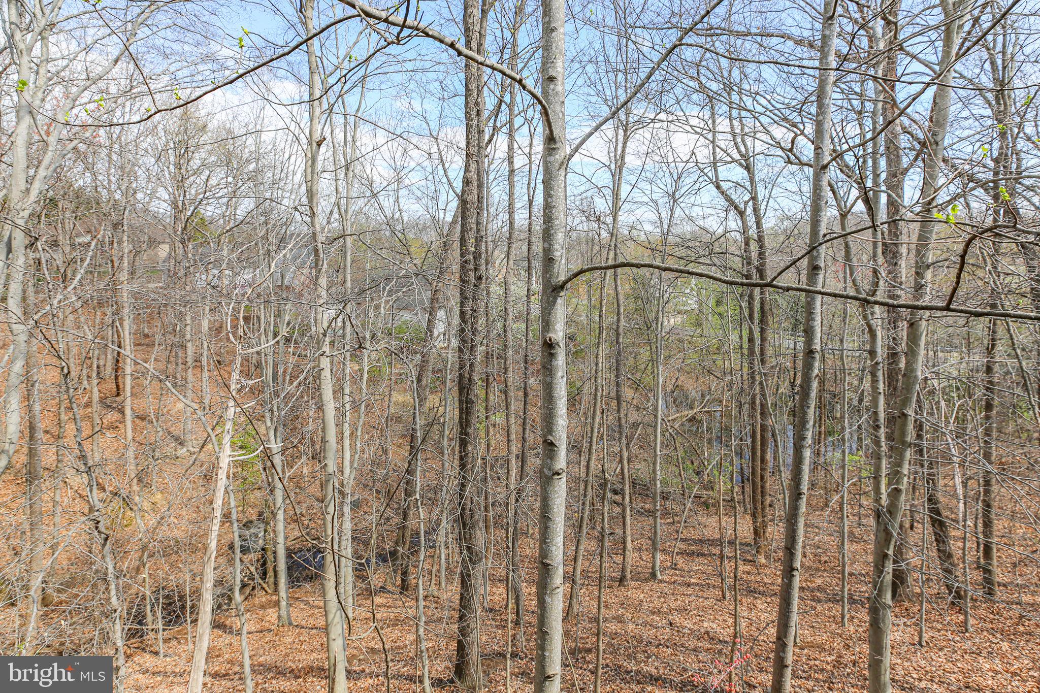 HILLS AT SNOWDEN - Residential