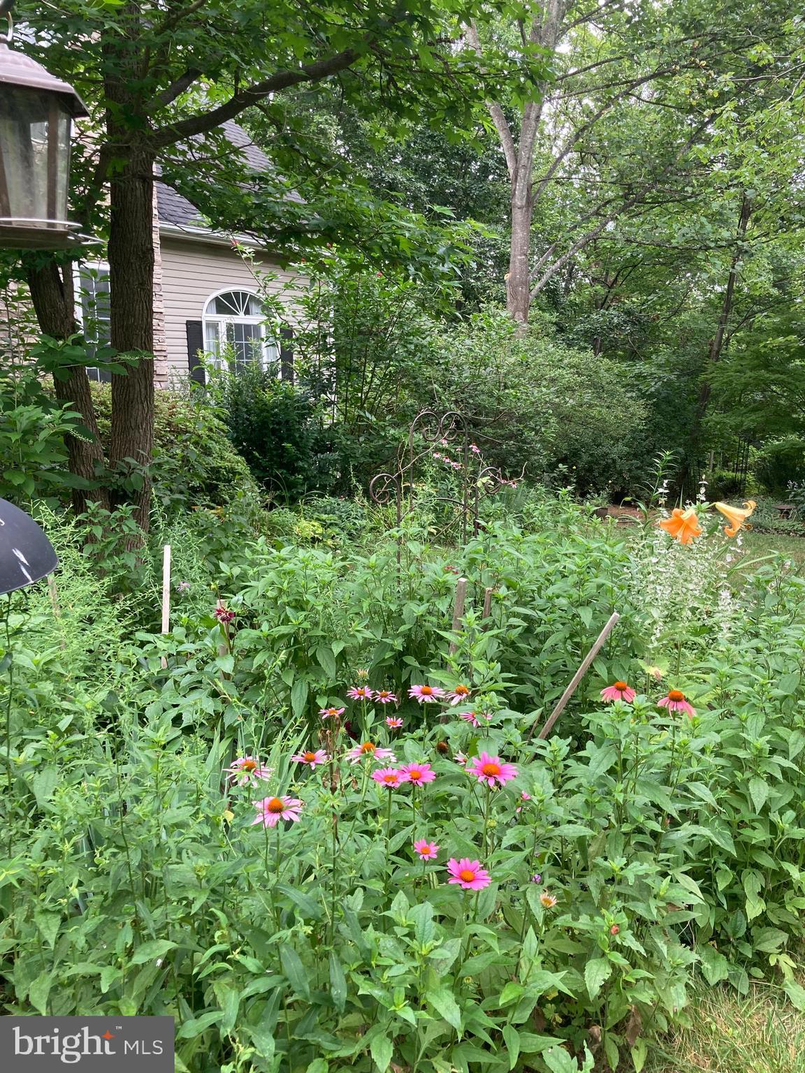 HILLS AT SNOWDEN - Residential