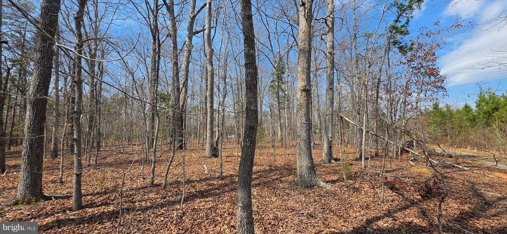 Lot A CAMPBELL ROAD