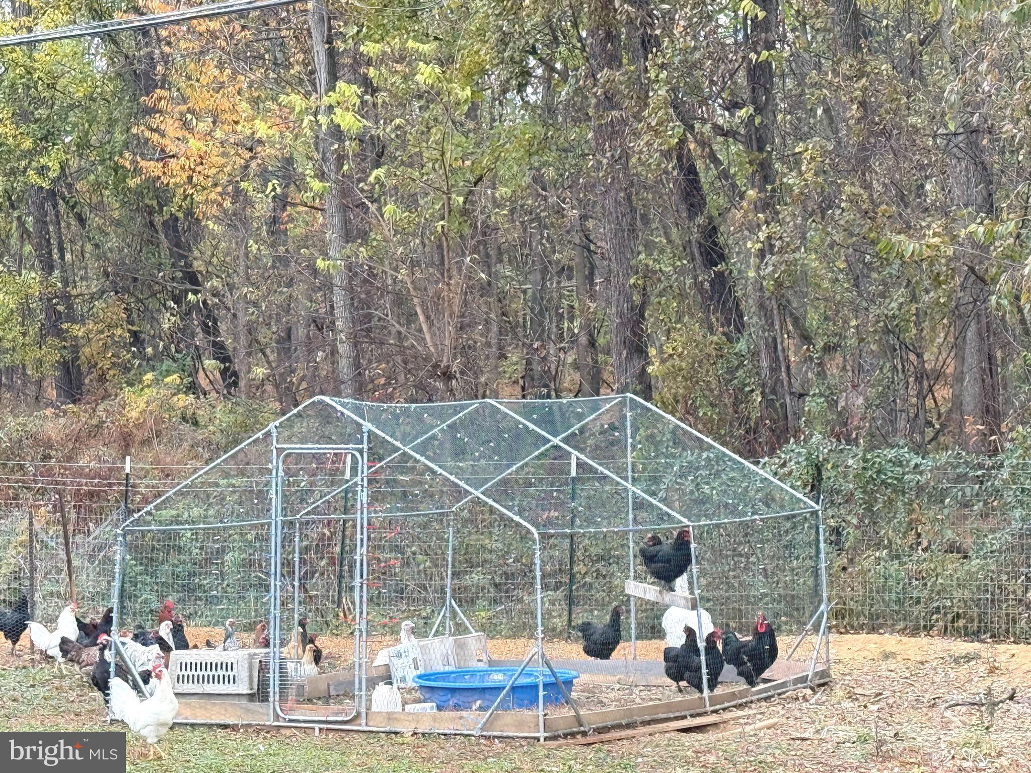 KEARNEYSVILLE - Residential