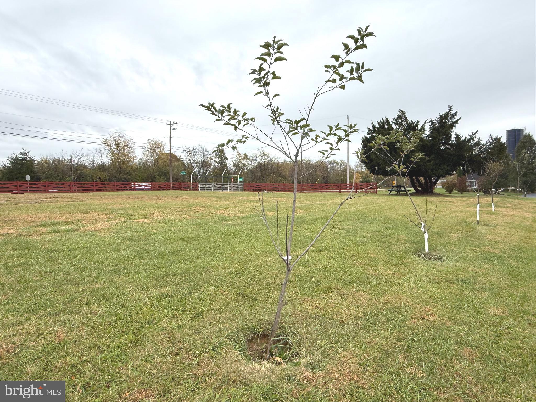 KEARNEYSVILLE - Residential