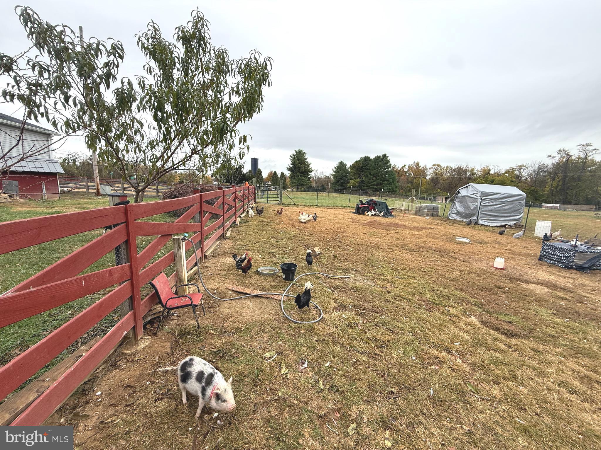 KEARNEYSVILLE - Residential